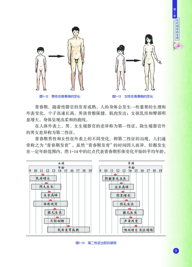 浙教版7年级科学下册高清教材_4-教培资料-26年最新资料-同步更新_初中高中教资_03科三专项（进去保存报考的学科即可）_02科三专项（笔记真题思维导图教学设计版本二）