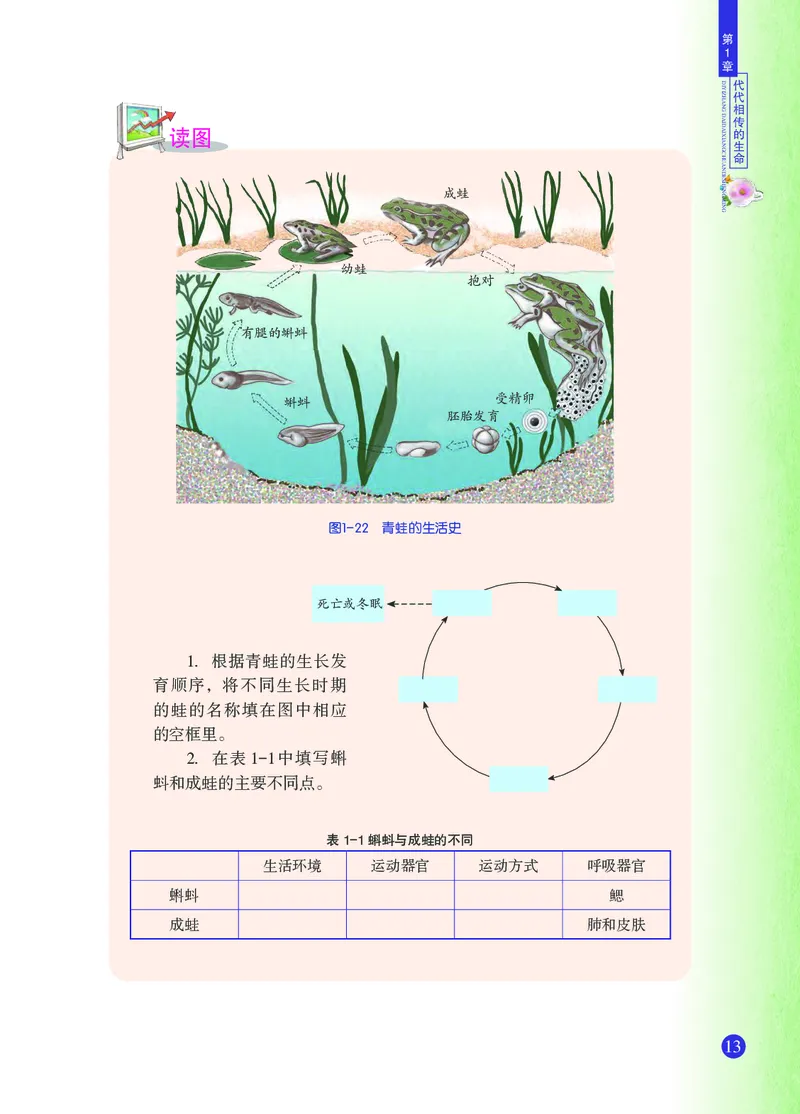 浙教版7年级科学下册高清教材_4-教培资料-26年最新资料-同步更新_初中高中教资_03科三专项（进去保存报考的学科即可）_02科三专项（笔记真题思维导图教学设计版本二）