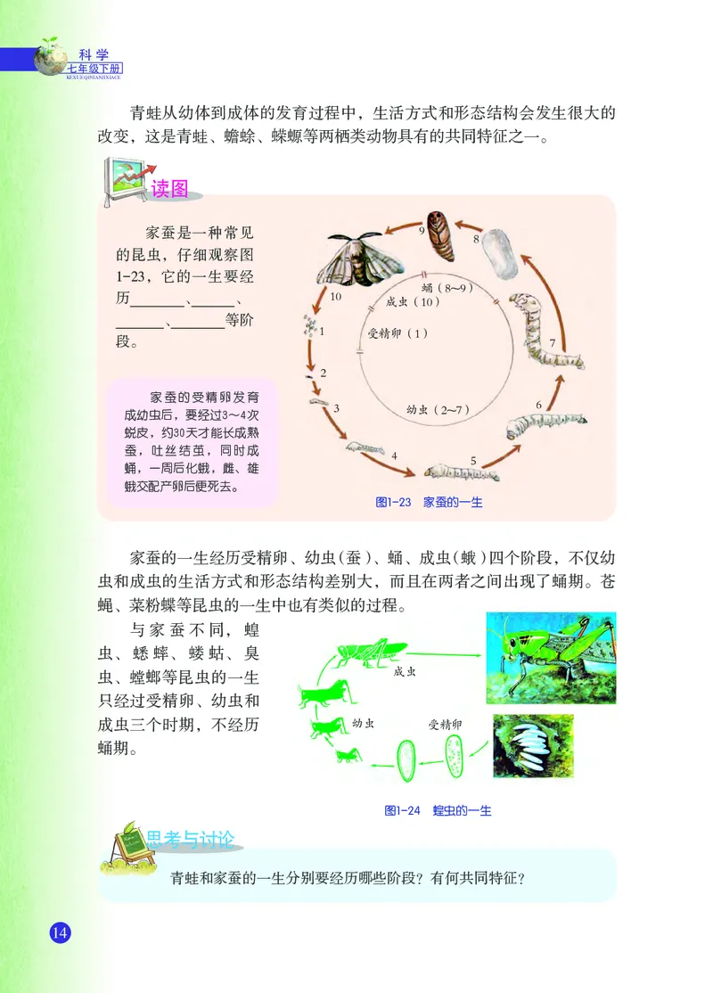 浙教版7年级科学下册高清教材_4-教培资料-26年最新资料-同步更新_初中高中教资_03科三专项（进去保存报考的学科即可）_02科三专项（笔记真题思维导图教学设计版本二）