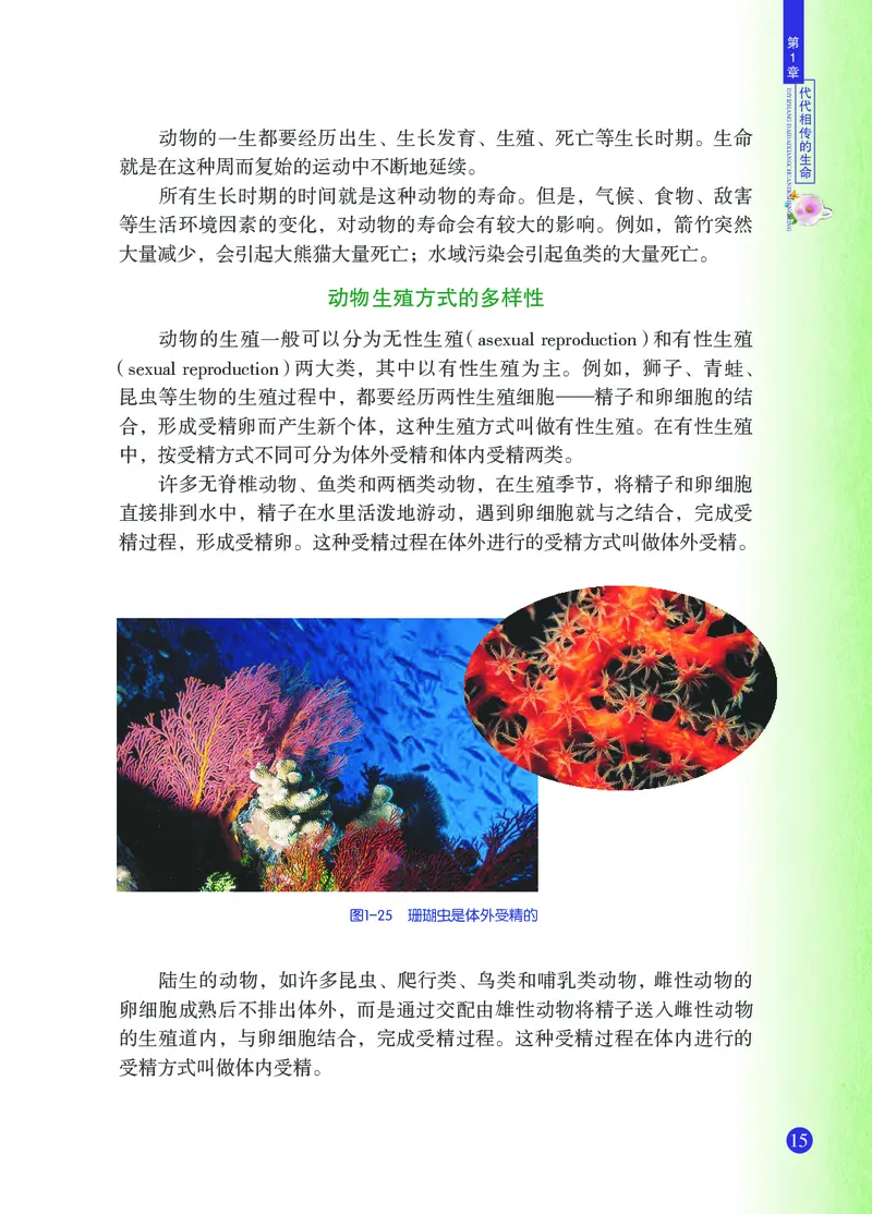 浙教版7年级科学下册高清教材_4-教培资料-26年最新资料-同步更新_初中高中教资_03科三专项（进去保存报考的学科即可）_02科三专项（笔记真题思维导图教学设计版本二）