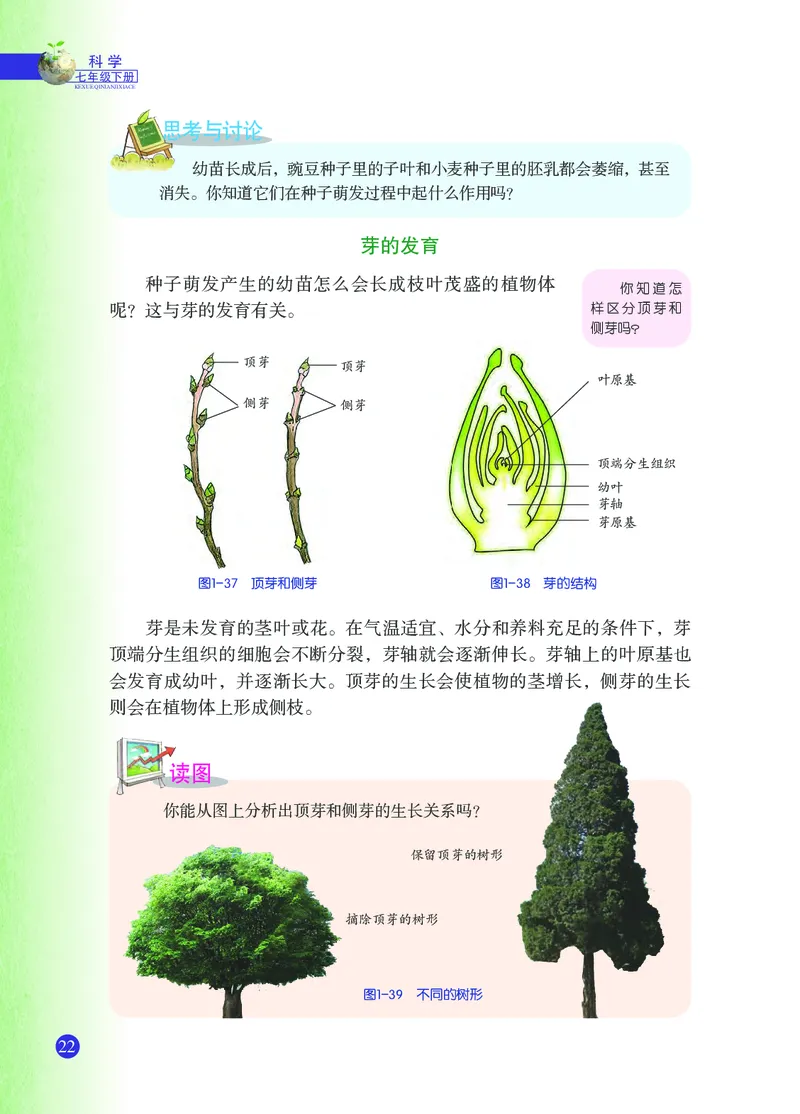 浙教版7年级科学下册高清教材_4-教培资料-26年最新资料-同步更新_初中高中教资_03科三专项（进去保存报考的学科即可）_02科三专项（笔记真题思维导图教学设计版本二）
