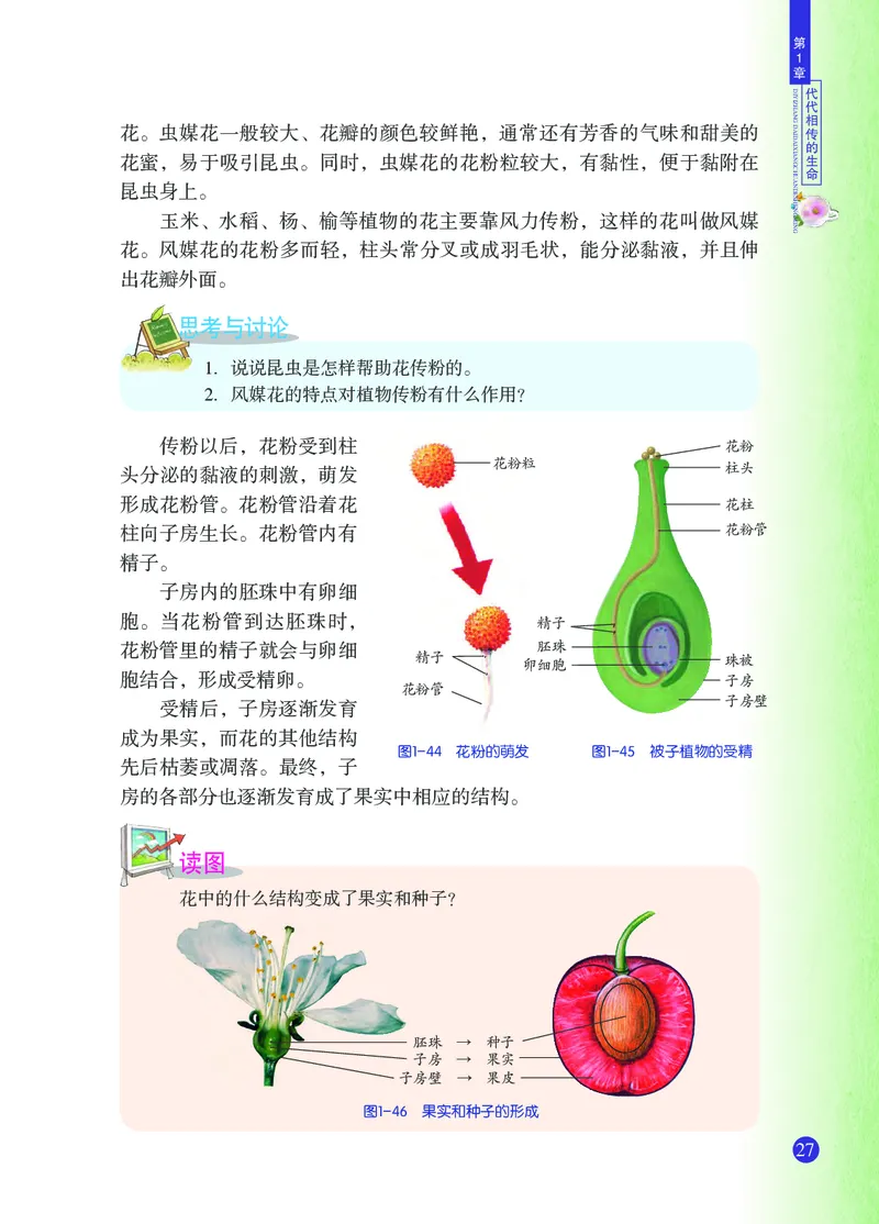 浙教版7年级科学下册高清教材_4-教培资料-26年最新资料-同步更新_初中高中教资_03科三专项（进去保存报考的学科即可）_02科三专项（笔记真题思维导图教学设计版本二）