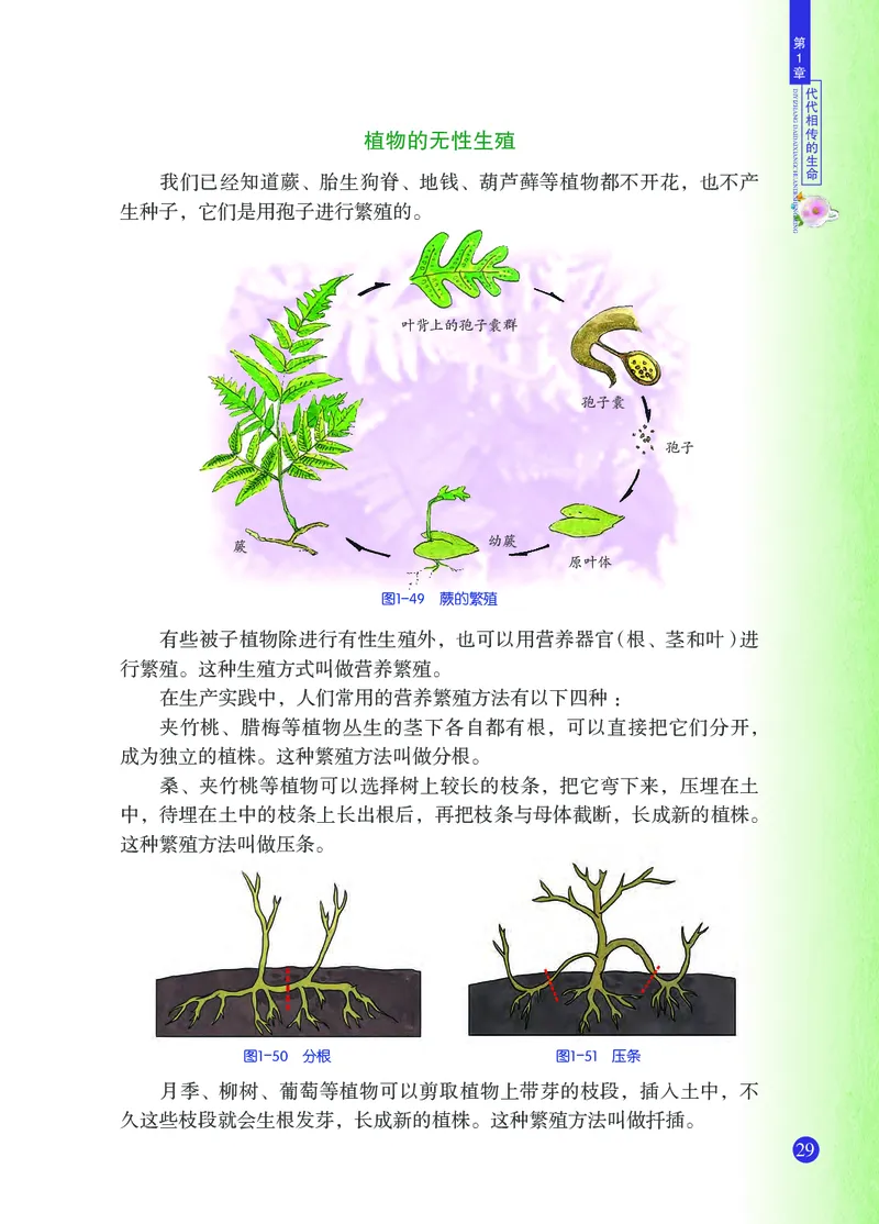 浙教版7年级科学下册高清教材_4-教培资料-26年最新资料-同步更新_初中高中教资_03科三专项（进去保存报考的学科即可）_02科三专项（笔记真题思维导图教学设计版本二）