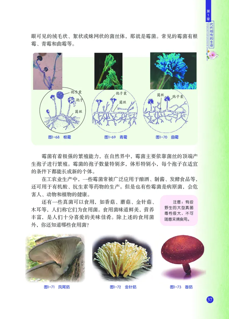 浙教版7年级科学下册高清教材_4-教培资料-26年最新资料-同步更新_初中高中教资_03科三专项（进去保存报考的学科即可）_02科三专项（笔记真题思维导图教学设计版本二）