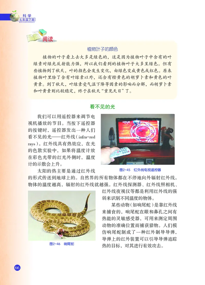 浙教版7年级科学下册高清教材_4-教培资料-26年最新资料-同步更新_初中高中教资_03科三专项（进去保存报考的学科即可）_02科三专项（笔记真题思维导图教学设计版本二）