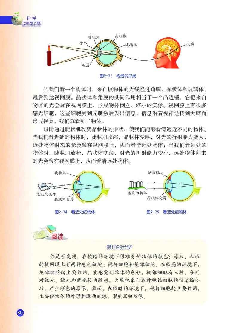 浙教版7年级科学下册高清教材_4-教培资料-26年最新资料-同步更新_初中高中教资_03科三专项（进去保存报考的学科即可）_02科三专项（笔记真题思维导图教学设计版本二）