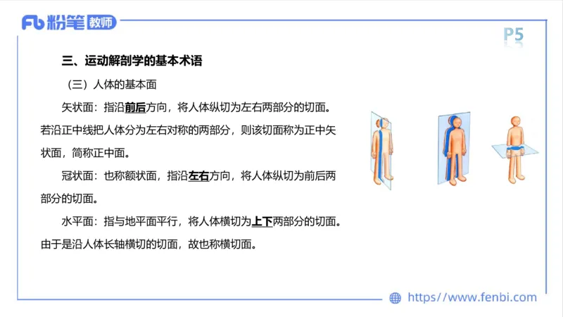 理论精讲-运动解剖学1(1)_4-教培资料-26年最新资料-同步更新_科一科二电子资料合集中小幼（笔记真题知识点汇总等）文件多，按需保存_各机构笔记合集（中小幼）推荐_上课课件