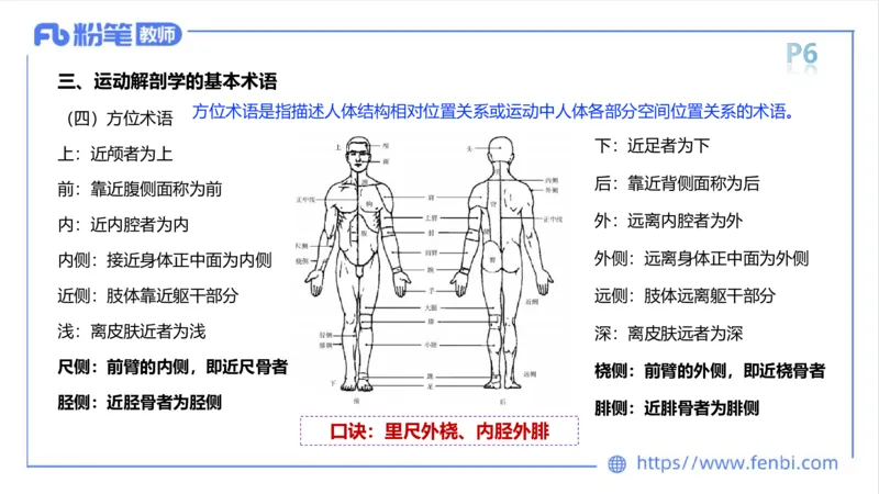 理论精讲-运动解剖学1(1)_4-教培资料-26年最新资料-同步更新_科一科二电子资料合集中小幼（笔记真题知识点汇总等）文件多，按需保存_各机构笔记合集（中小幼）推荐_上课课件