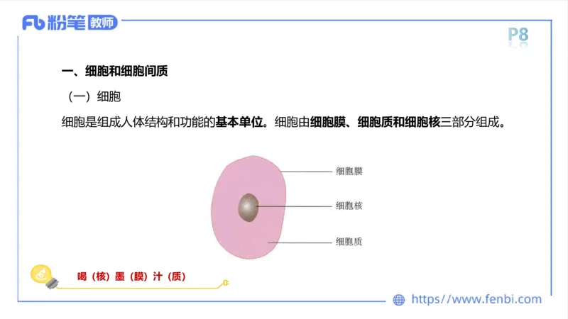 理论精讲-运动解剖学1(1)_4-教培资料-26年最新资料-同步更新_科一科二电子资料合集中小幼（笔记真题知识点汇总等）文件多，按需保存_各机构笔记合集（中小幼）推荐_上课课件
