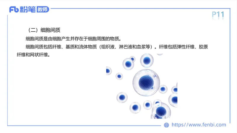 理论精讲-运动解剖学1(1)_4-教培资料-26年最新资料-同步更新_科一科二电子资料合集中小幼（笔记真题知识点汇总等）文件多，按需保存_各机构笔记合集（中小幼）推荐_上课课件