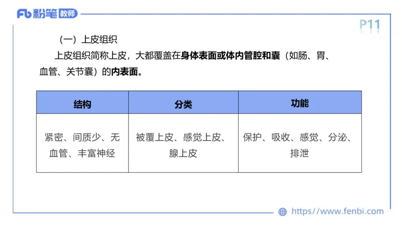 理论精讲-运动解剖学1(1)_4-教培资料-26年最新资料-同步更新_科一科二电子资料合集中小幼（笔记真题知识点汇总等）文件多，按需保存_各机构笔记合集（中小幼）推荐_上课课件