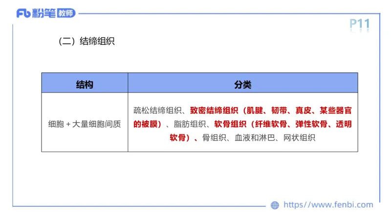 理论精讲-运动解剖学1(1)_4-教培资料-26年最新资料-同步更新_科一科二电子资料合集中小幼（笔记真题知识点汇总等）文件多，按需保存_各机构笔记合集（中小幼）推荐_上课课件