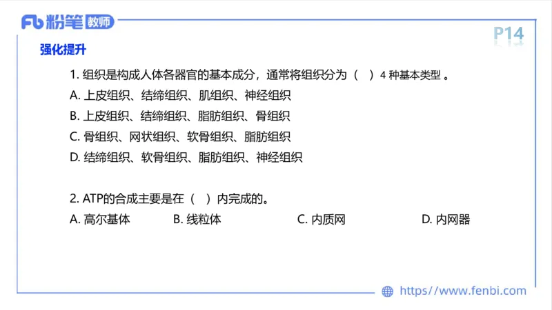 理论精讲-运动解剖学1(1)_4-教培资料-26年最新资料-同步更新_科一科二电子资料合集中小幼（笔记真题知识点汇总等）文件多，按需保存_各机构笔记合集（中小幼）推荐_上课课件