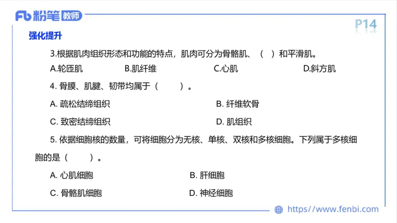 理论精讲-运动解剖学1(1)_4-教培资料-26年最新资料-同步更新_科一科二电子资料合集中小幼（笔记真题知识点汇总等）文件多，按需保存_各机构笔记合集（中小幼）推荐_上课课件