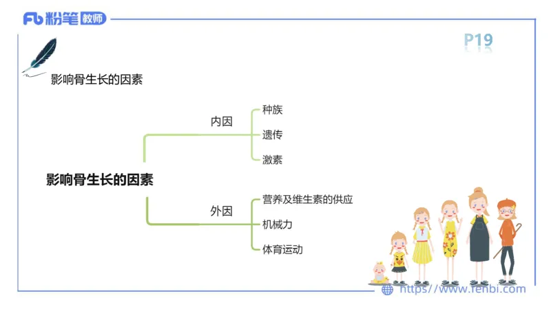 理论精讲-运动解剖学1(1)_4-教培资料-26年最新资料-同步更新_科一科二电子资料合集中小幼（笔记真题知识点汇总等）文件多，按需保存_各机构笔记合集（中小幼）推荐_上课课件
