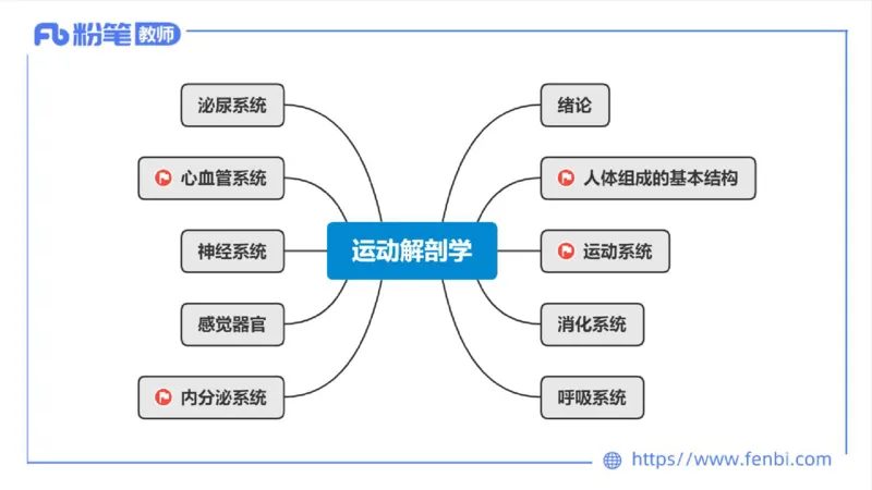 理论精讲-运动解剖学1(1)_4-教培资料-26年最新资料-同步更新_科一科二电子资料合集中小幼（笔记真题知识点汇总等）文件多，按需保存_各机构笔记合集（中小幼）推荐_上课课件