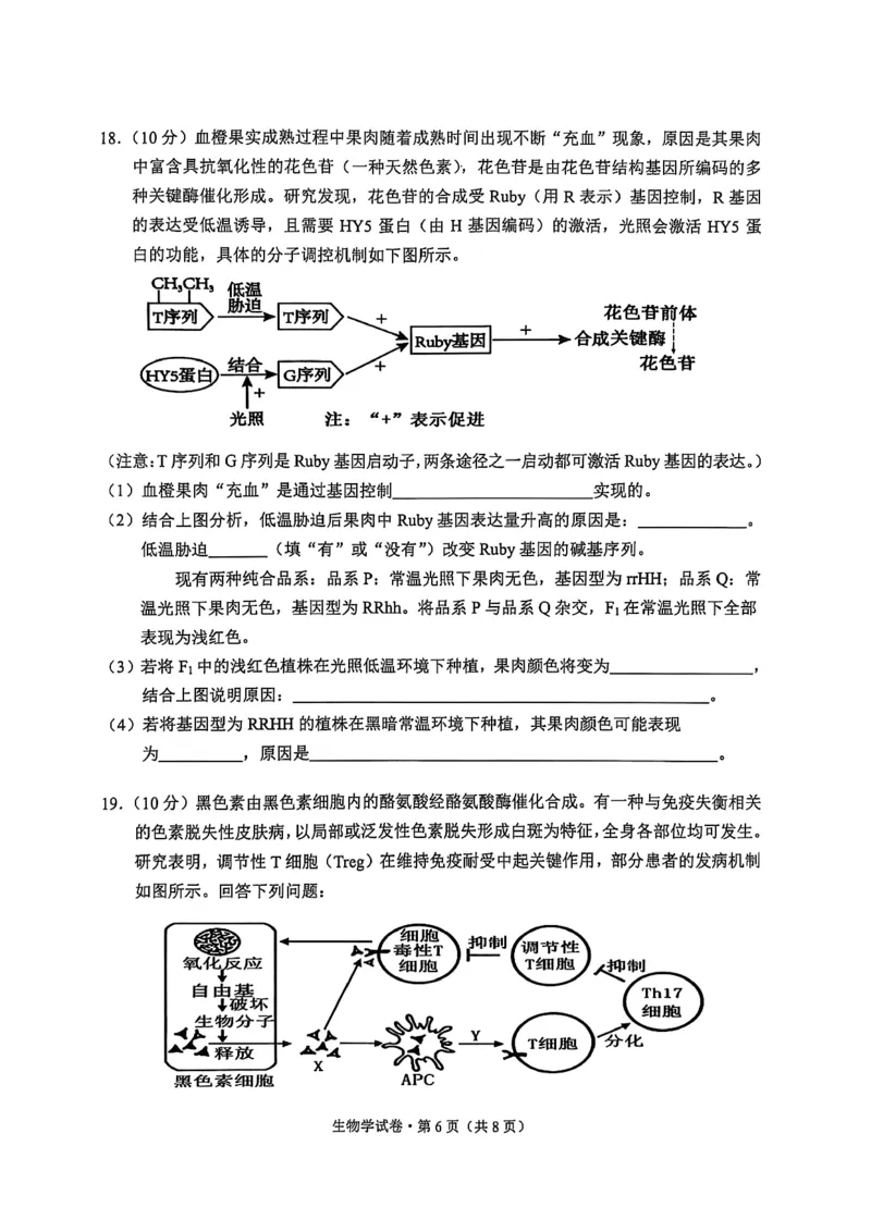 大理州2026届高中毕业生第一次复习统一检测生物_251117云南省大理州2026届高中毕业生第一次复习统一检测（全科）