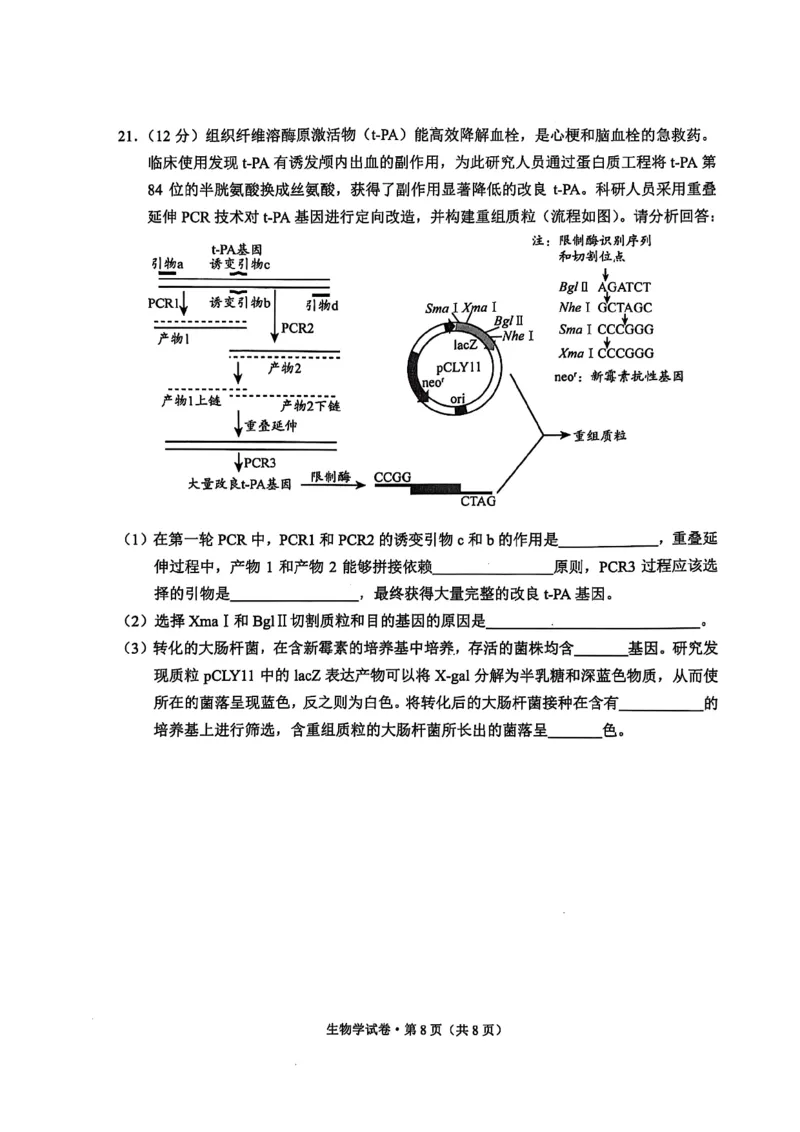 大理州2026届高中毕业生第一次复习统一检测生物_251117云南省大理州2026届高中毕业生第一次复习统一检测（全科）