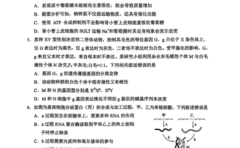 大理州2026届高中毕业生第一次复习统一检测生物_251117云南省大理州2026届高中毕业生第一次复习统一检测（全科）