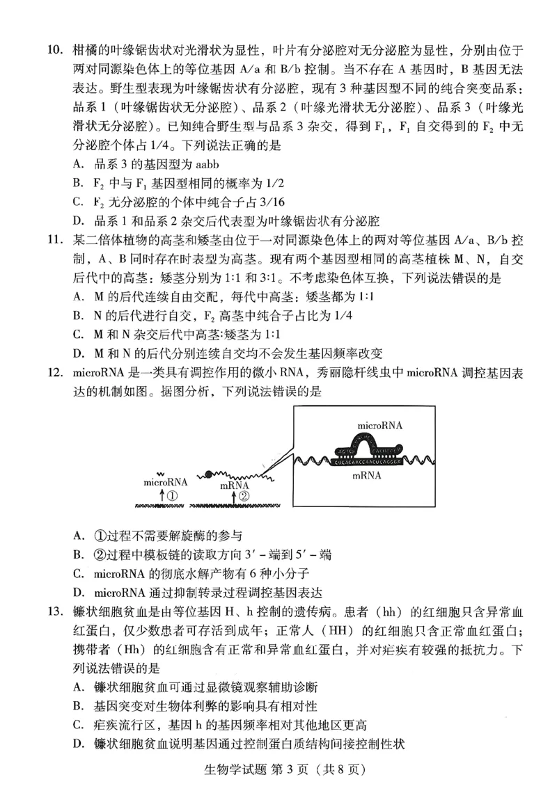 生物试卷-潍坊市2026届高三期中阶段性诊断监测_251119山东省潍坊市2025-2026学年高三期中考试阶段性诊断监测（全科）