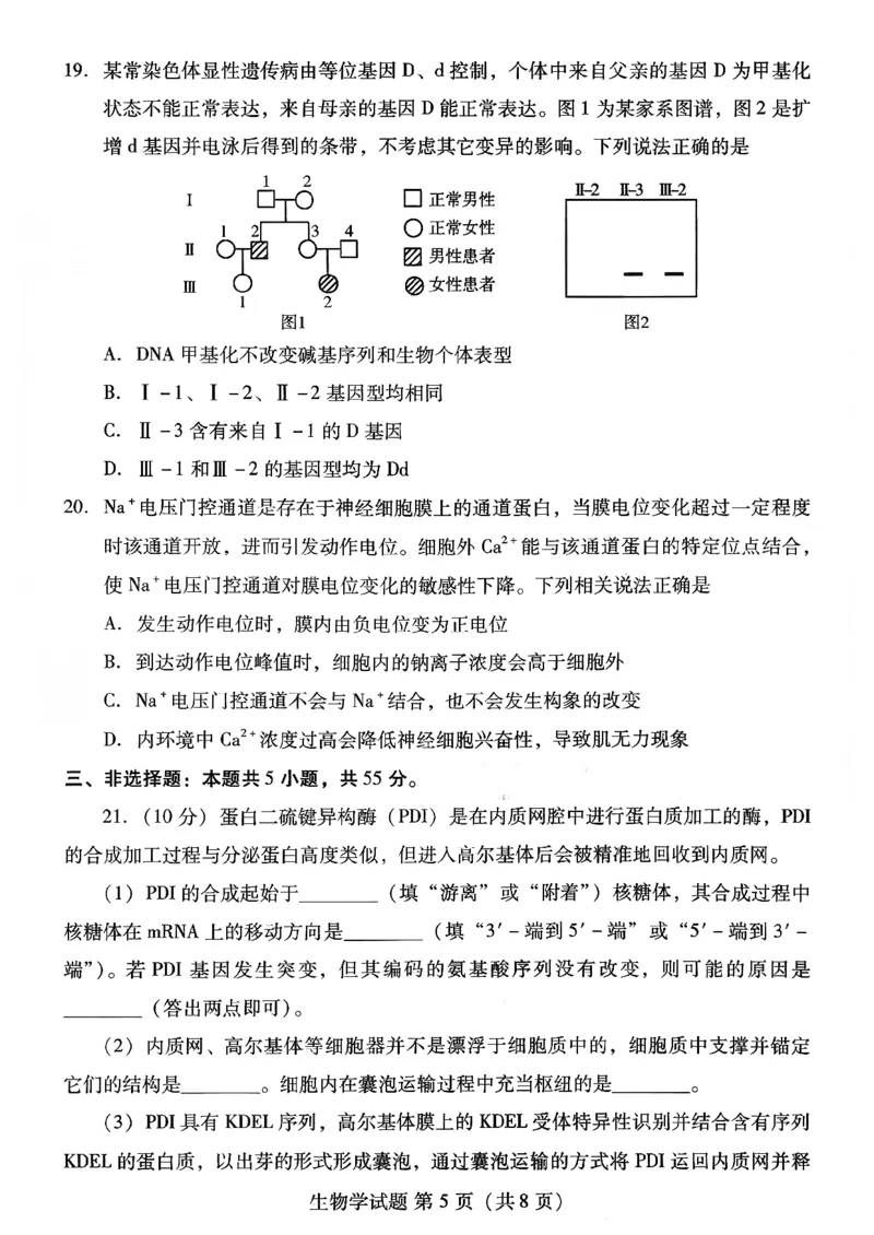 生物试卷-潍坊市2026届高三期中阶段性诊断监测_251119山东省潍坊市2025-2026学年高三期中考试阶段性诊断监测（全科）