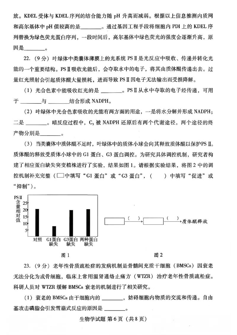 生物试卷-潍坊市2026届高三期中阶段性诊断监测_251119山东省潍坊市2025-2026学年高三期中考试阶段性诊断监测（全科）