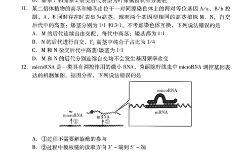 生物试卷-潍坊市2026届高三期中阶段性诊断监测_251119山东省潍坊市2025-2026学年高三期中考试阶段性诊断监测（全科）