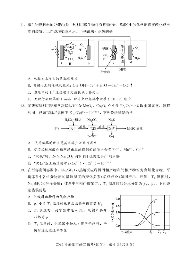 湖南省邵阳市联考2024-2025学年高二下学期7月期末化学试题+答案_2025年7月_250706湖南省邵阳市2024-2025学年高二下学期7月期末考试（全科）