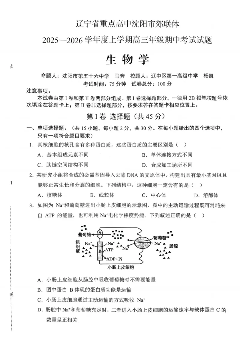 沈阳市郊联体2025一2026学年度上学期高三年级期中考试生物(1)_251115辽宁省重点高中沈阳市郊联体2025一2026学年度上学期高三年级期中考试（全）