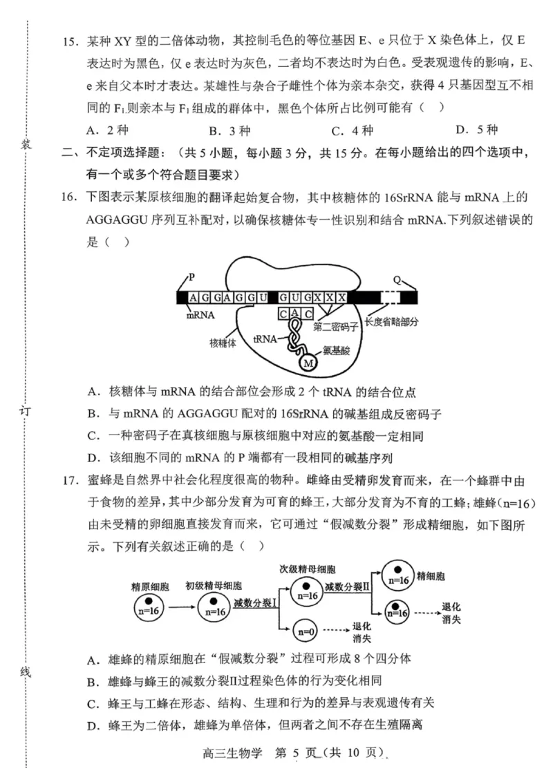 沈阳市郊联体2025一2026学年度上学期高三年级期中考试生物(1)_251115辽宁省重点高中沈阳市郊联体2025一2026学年度上学期高三年级期中考试（全）