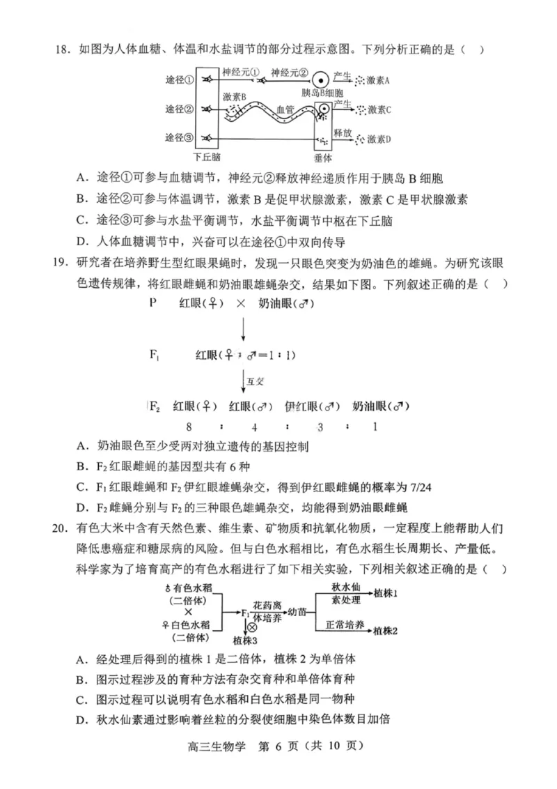 沈阳市郊联体2025一2026学年度上学期高三年级期中考试生物(1)_251115辽宁省重点高中沈阳市郊联体2025一2026学年度上学期高三年级期中考试（全）