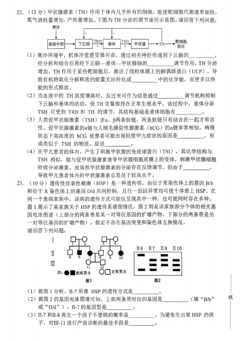 沈阳市郊联体2025一2026学年度上学期高三年级期中考试生物(1)_251115辽宁省重点高中沈阳市郊联体2025一2026学年度上学期高三年级期中考试（全）
