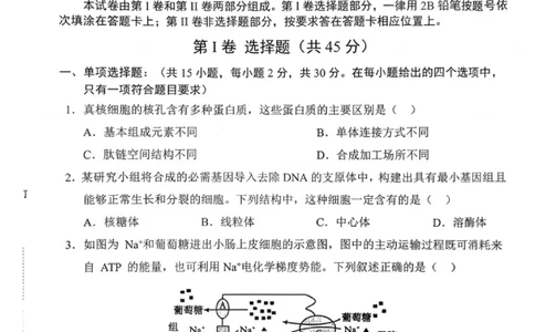 沈阳市郊联体2025一2026学年度上学期高三年级期中考试生物(1)_251115辽宁省重点高中沈阳市郊联体2025一2026学年度上学期高三年级期中考试（全）