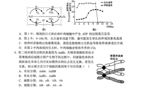 沈阳市郊联体2025一2026学年度上学期高三年级期中考试生物(1)_251115辽宁省重点高中沈阳市郊联体2025一2026学年度上学期高三年级期中考试（全）