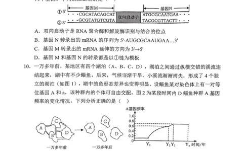 沈阳市郊联体2025一2026学年度上学期高三年级期中考试生物(1)_251115辽宁省重点高中沈阳市郊联体2025一2026学年度上学期高三年级期中考试（全）
