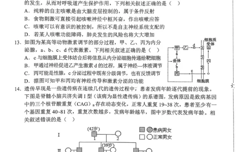 沈阳市郊联体2025一2026学年度上学期高三年级期中考试生物(1)_251115辽宁省重点高中沈阳市郊联体2025一2026学年度上学期高三年级期中考试（全）