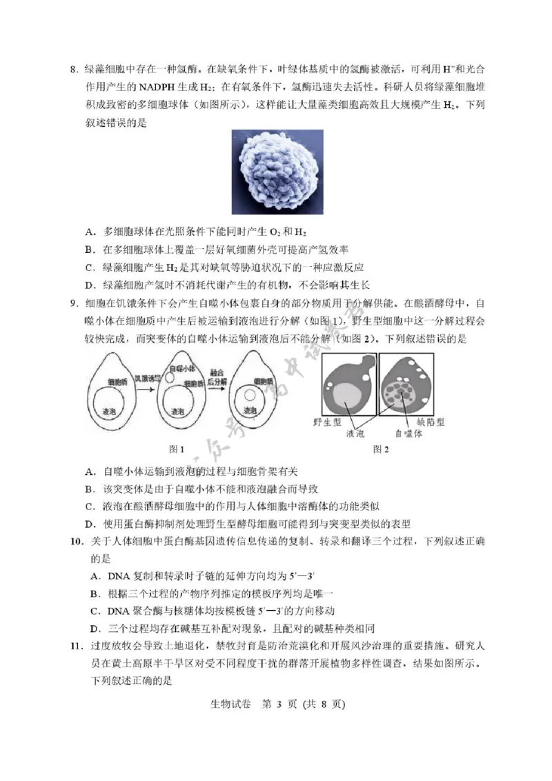 湖北省武汉市硚口区2025-2026学年高三上学期7月起点质量检测生物试卷（含答案）_2025年7月_250728湖北省武汉市硚口区2025-2026学年高三上学期7月起点质量检测（全科）