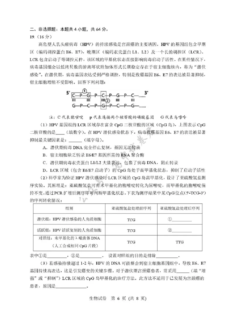 湖北省武汉市硚口区2025-2026学年高三上学期7月起点质量检测生物试卷（含答案）_2025年7月_250728湖北省武汉市硚口区2025-2026学年高三上学期7月起点质量检测（全科）