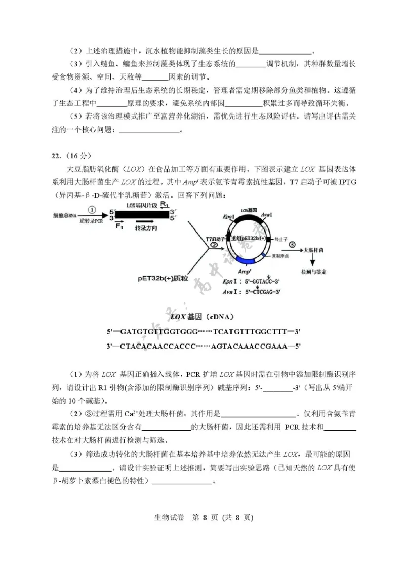 湖北省武汉市硚口区2025-2026学年高三上学期7月起点质量检测生物试卷（含答案）_2025年7月_250728湖北省武汉市硚口区2025-2026学年高三上学期7月起点质量检测（全科）