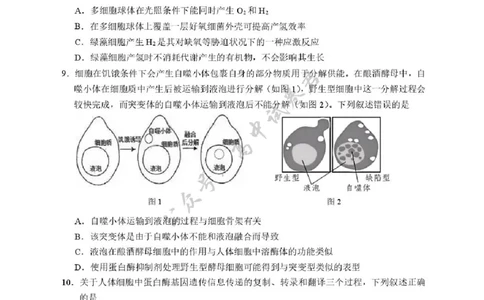 湖北省武汉市硚口区2025-2026学年高三上学期7月起点质量检测生物试卷（含答案）_2025年7月_250728湖北省武汉市硚口区2025-2026学年高三上学期7月起点质量检测（全科）