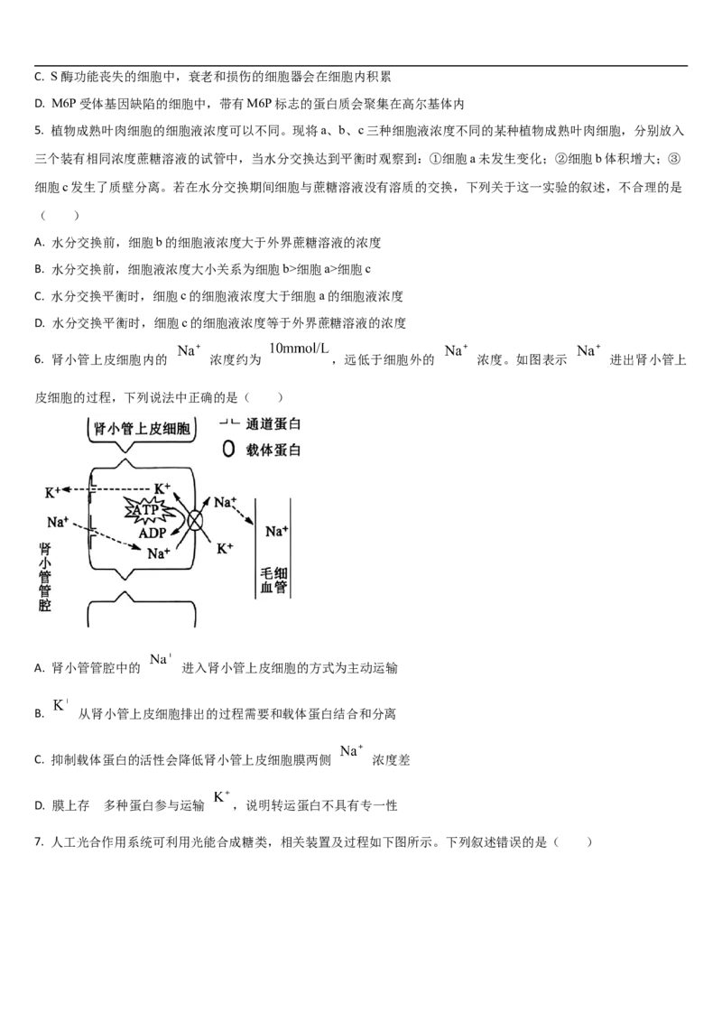 吉林省通化市梅河口市第五中学2025-2026学年高三上学期10月期中生物试题（含答案）_251105吉林省通化市梅河口市第五中学2025-2026学年高三上学期10月期中考试（全科）