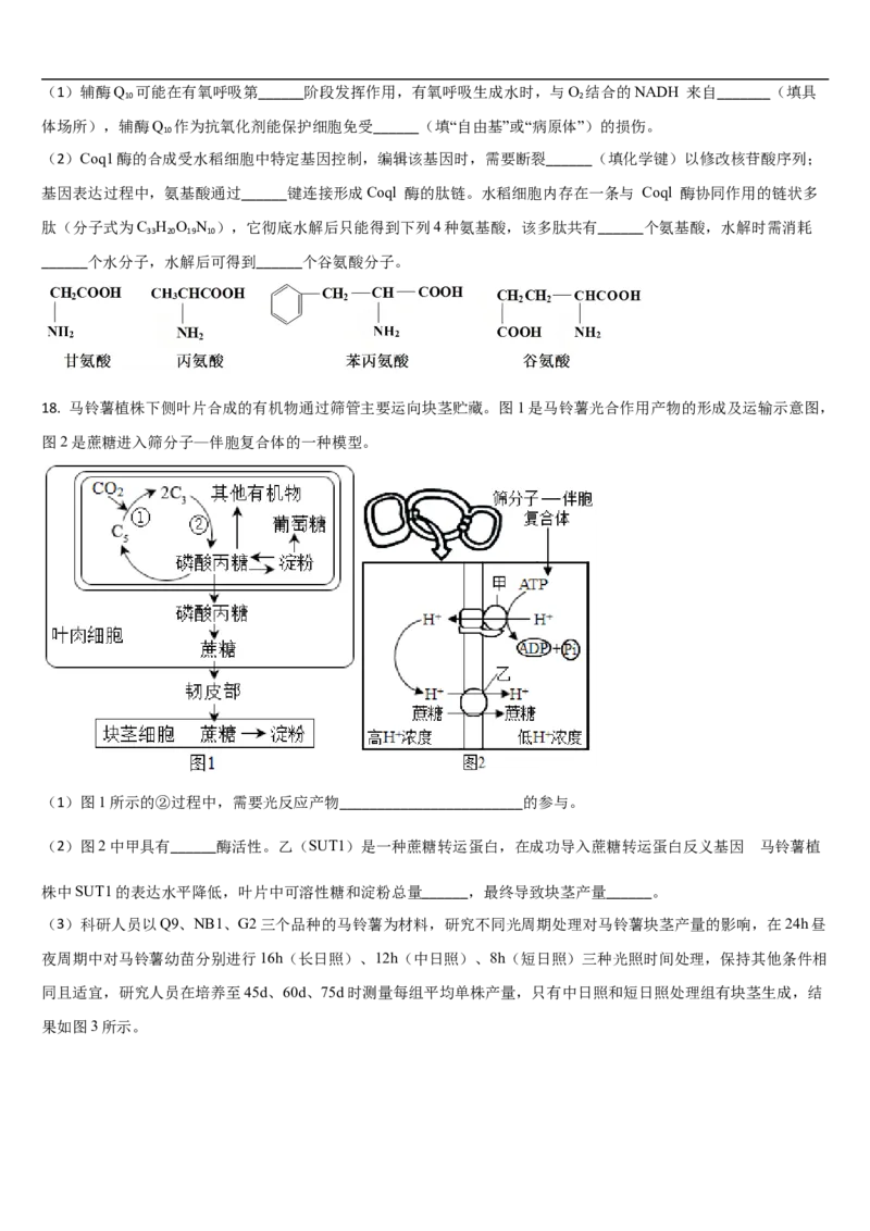 吉林省通化市梅河口市第五中学2025-2026学年高三上学期10月期中生物试题（含答案）_251105吉林省通化市梅河口市第五中学2025-2026学年高三上学期10月期中考试（全科）