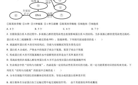 吉林省通化市梅河口市第五中学2025-2026学年高三上学期10月期中生物试题（含答案）_251105吉林省通化市梅河口市第五中学2025-2026学年高三上学期10月期中考试（全科）