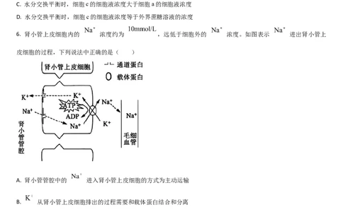 吉林省通化市梅河口市第五中学2025-2026学年高三上学期10月期中生物试题（含答案）_251105吉林省通化市梅河口市第五中学2025-2026学年高三上学期10月期中考试（全科）
