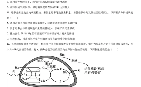 吉林省通化市梅河口市第五中学2025-2026学年高三上学期10月期中生物试题（含答案）_251105吉林省通化市梅河口市第五中学2025-2026学年高三上学期10月期中考试（全科）