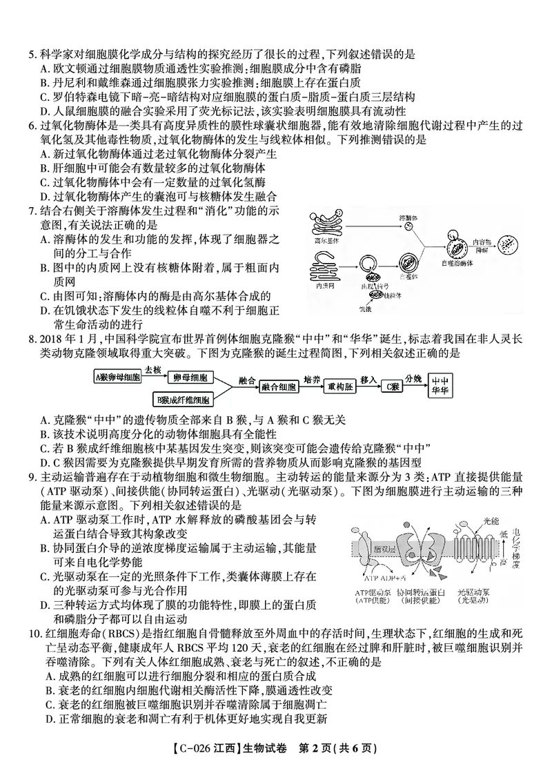 生物试题&middot;江西省九江市十一校2026届高三年级第一次联考_251121江西省九江市十一校2026届高三年级第一次联考（全科）