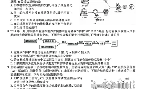 生物试题&middot;江西省九江市十一校2026届高三年级第一次联考_251121江西省九江市十一校2026届高三年级第一次联考（全科）