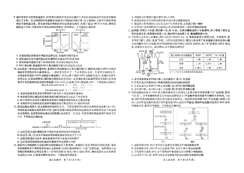 生物试卷-江西省2026届上进稳派联考高三11月一轮复习阶段检测_251114江西省2026届上进稳派联考高三11月一轮复习阶段检测（全科）