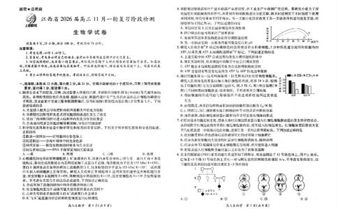 生物试卷-江西省2026届上进稳派联考高三11月一轮复习阶段检测_251114江西省2026届上进稳派联考高三11月一轮复习阶段检测（全科）