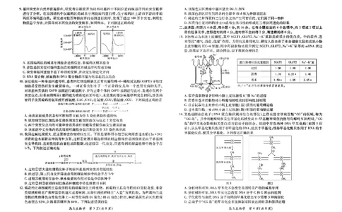 生物试卷-江西省2026届上进稳派联考高三11月一轮复习阶段检测_251114江西省2026届上进稳派联考高三11月一轮复习阶段检测（全科）